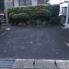 7982