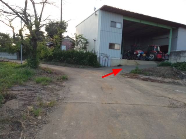 軒先P Salmonkingdomパーキング 写真.3