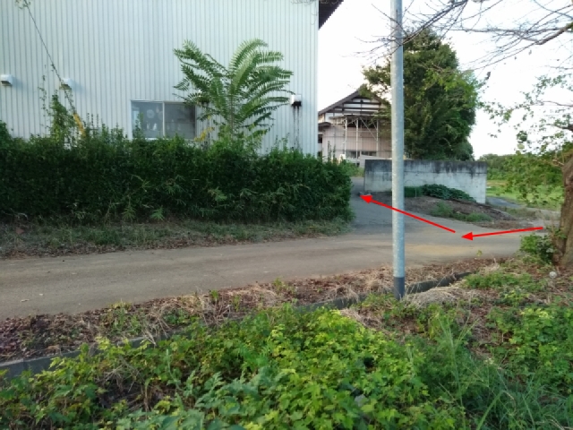 軒先P Salmonkingdomパーキング 写真.4