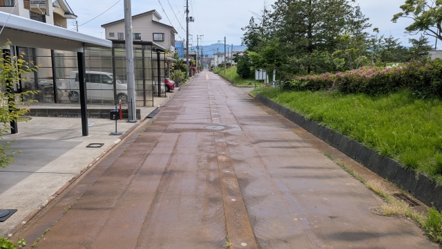写真
