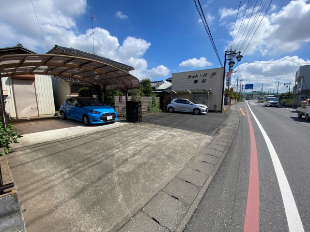 写真