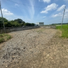 20109